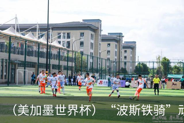 （美加墨世界杯）“波斯铁骑”顽强两连平 伊朗队期待更进一步